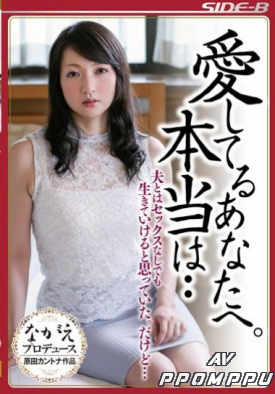 NSPS-515 품번 이미지