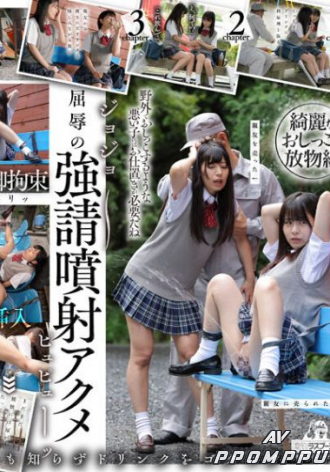 DRPT-040