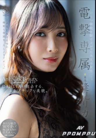 DLDSS-517